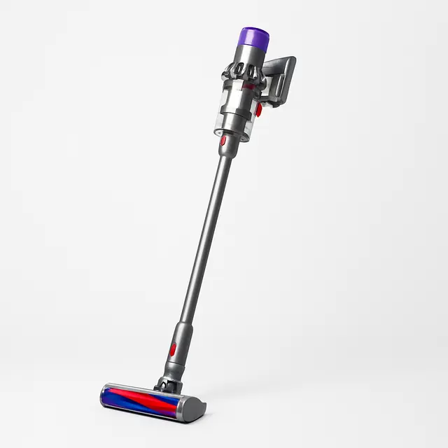 Dyson V11 Absolute